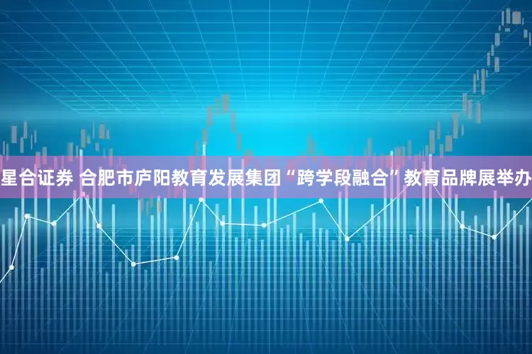 星合证券 合肥市庐阳教育发展集团“跨学段融合”教育品牌展举办