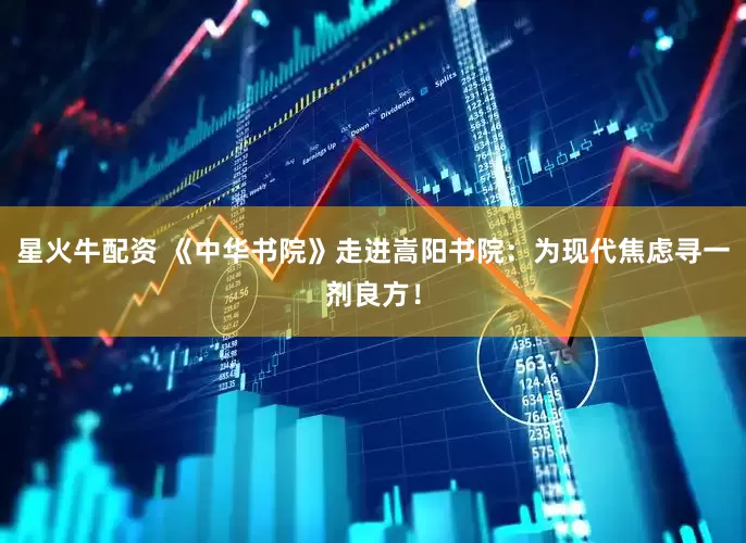 星火牛配资 《中华书院》走进嵩阳书院：为现代焦虑寻一剂良方！