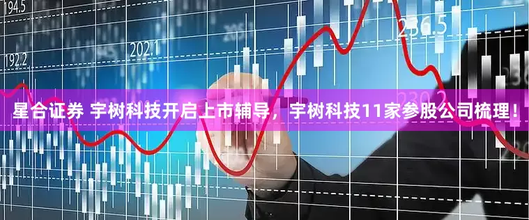 星合证券 宇树科技开启上市辅导，宇树科技11家参股公司梳理！