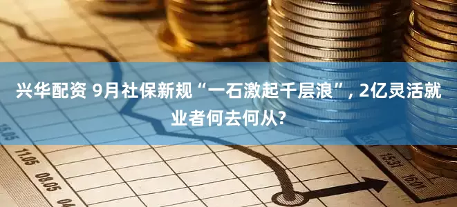 兴华配资 9月社保新规“一石激起千层浪”, 2亿灵活就业者何去何从?