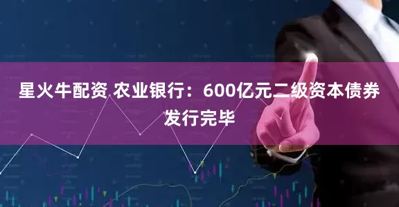 星火牛配资 农业银行：600亿元二级资本债券发行完毕